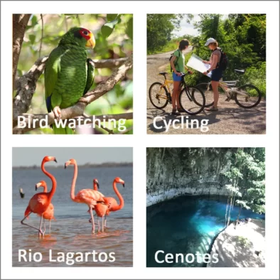Yucatan nature tours